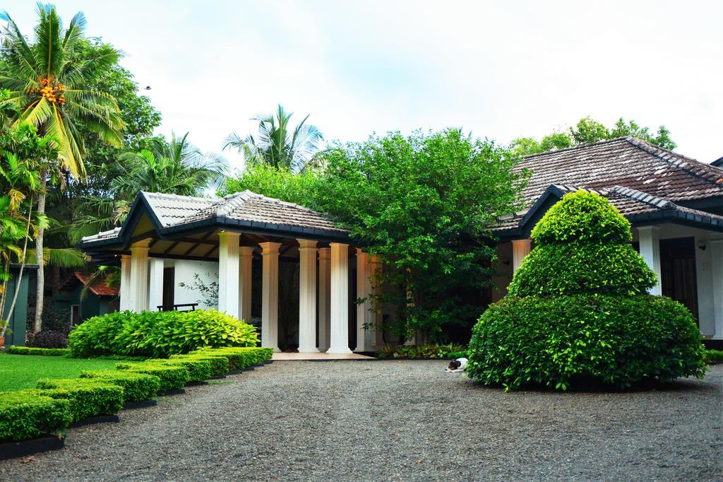 Camellia Dwelling Bed & Breakfast Hikkaduwa Exterior foto