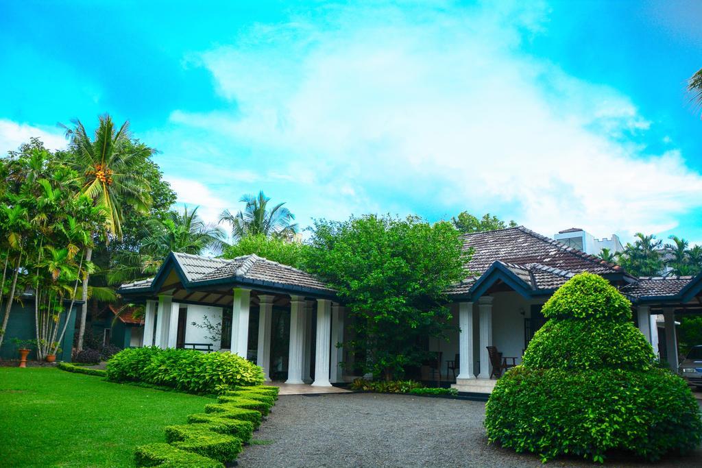 Camellia Dwelling Bed & Breakfast Hikkaduwa Exterior foto