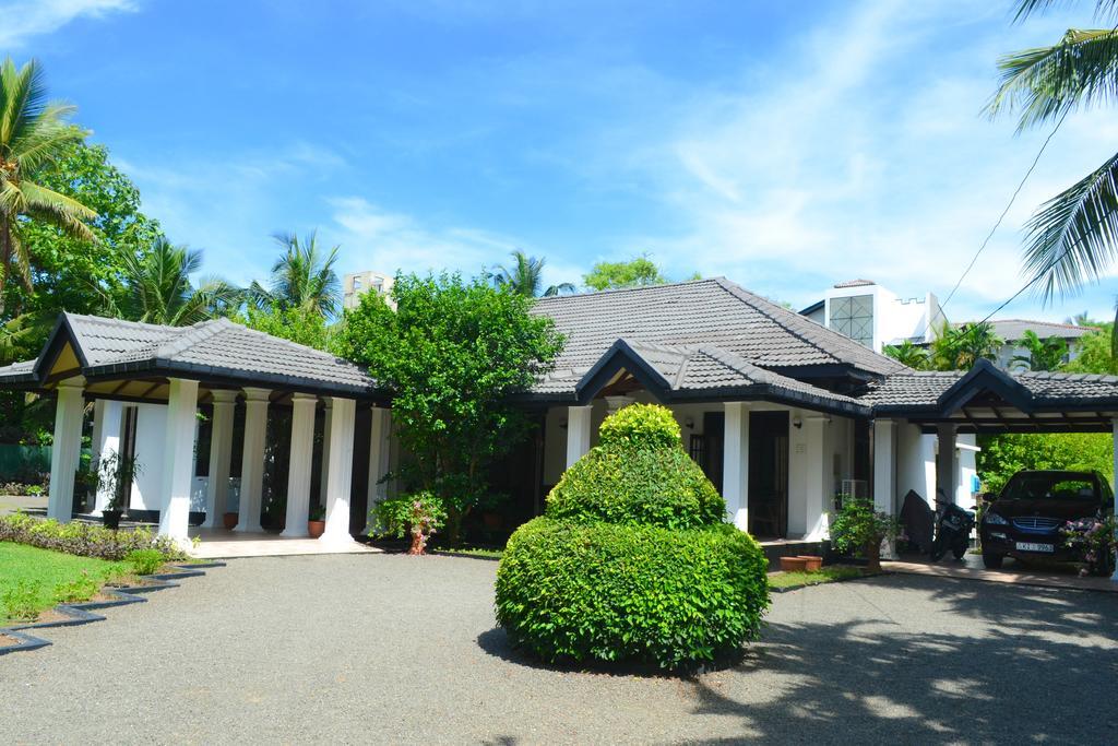 Camellia Dwelling Bed & Breakfast Hikkaduwa Exterior foto