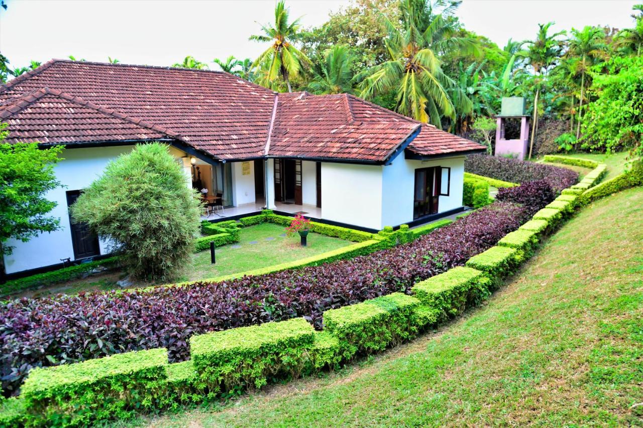 Camellia Dwelling Bed & Breakfast Hikkaduwa Exterior foto