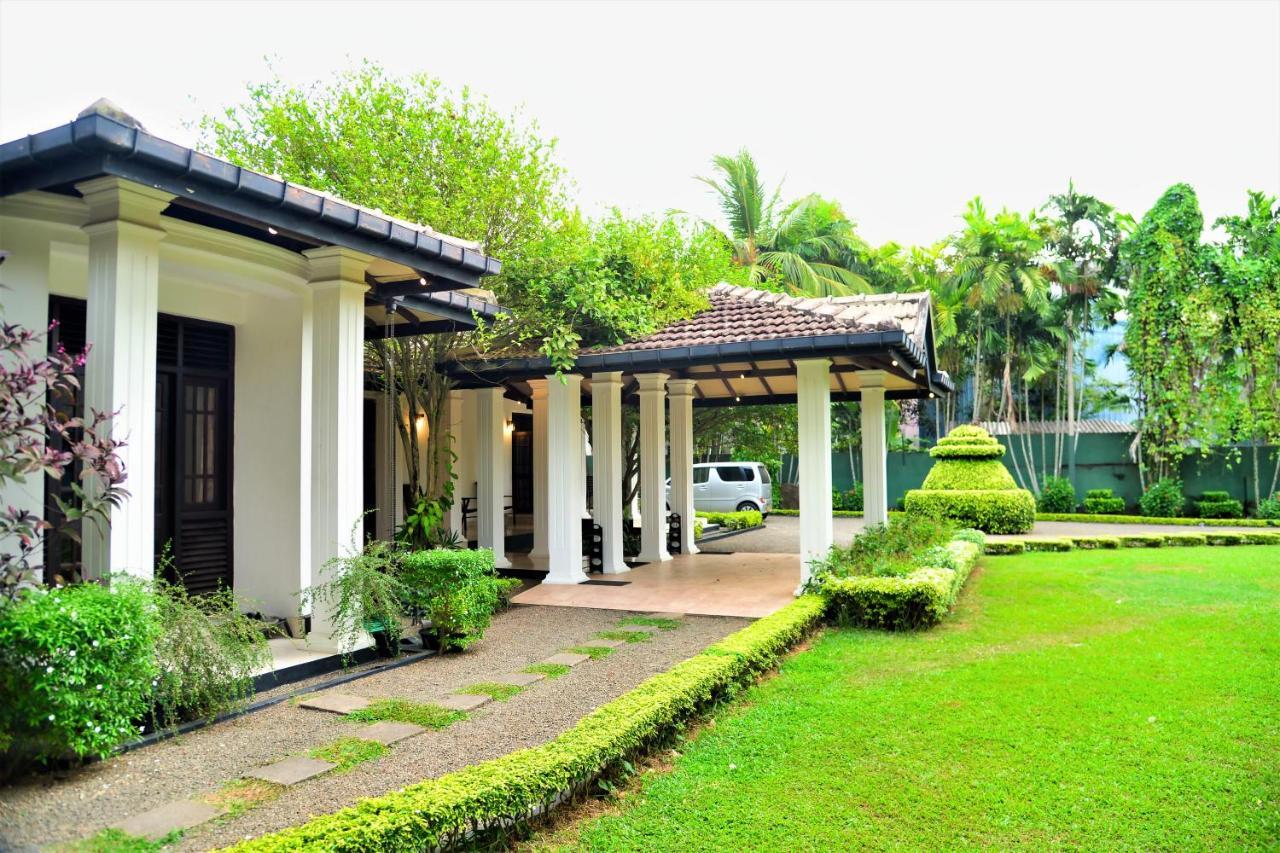 Camellia Dwelling Bed & Breakfast Hikkaduwa Exterior foto